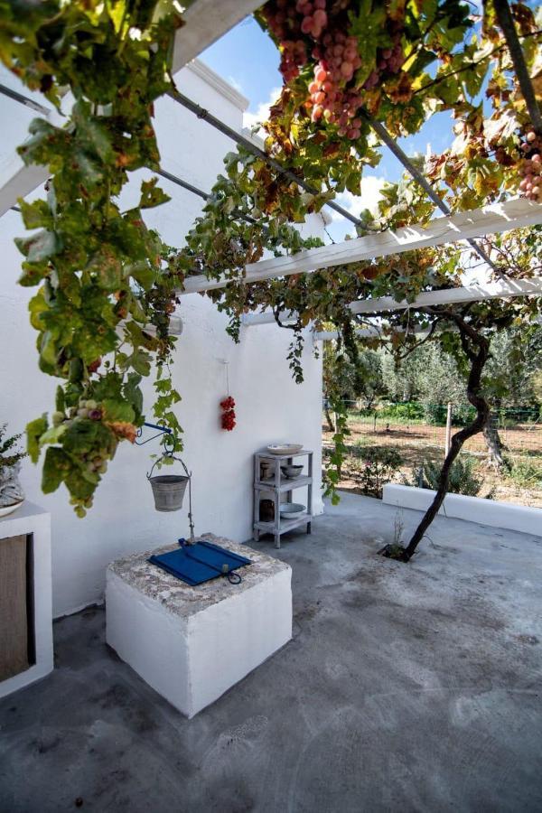 Villa Tommasina Carovigno Exterior photo